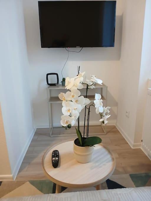 Appartement F1 Orchidee Mulhouse Extérieur photo